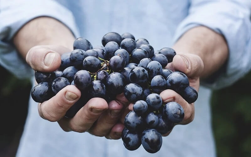 The Weight of Grapes