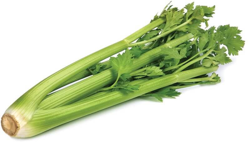Celery Amount