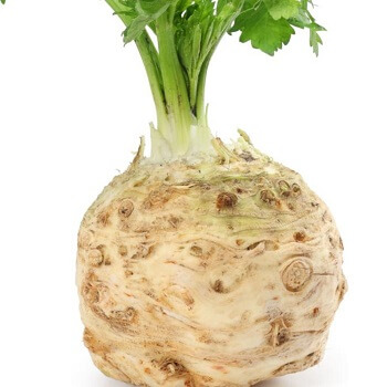 Celeriac