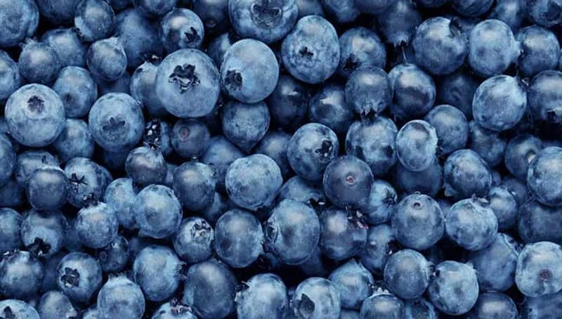 Blueberries per Pound