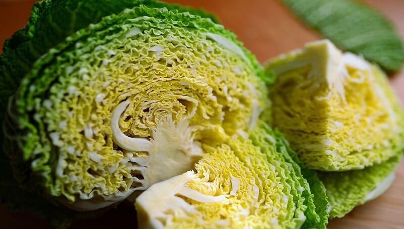 How much Shredded Cabbage is in a Head?