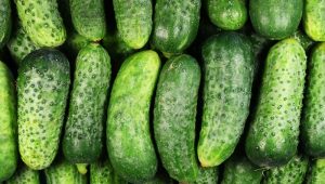 Pickling Cucumbers per Pound