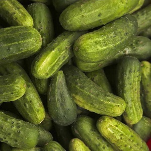 Pickling Cucumbers Pickled