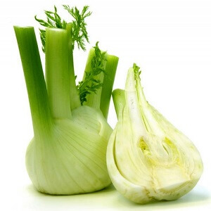 Fennel Bulb