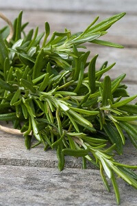 Rosemary on Table