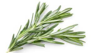 Rosemary Weight